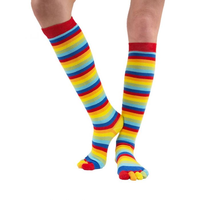 Levně KNEE-High prstové podkolenky ToeToe Rainbow UNI 1 pár