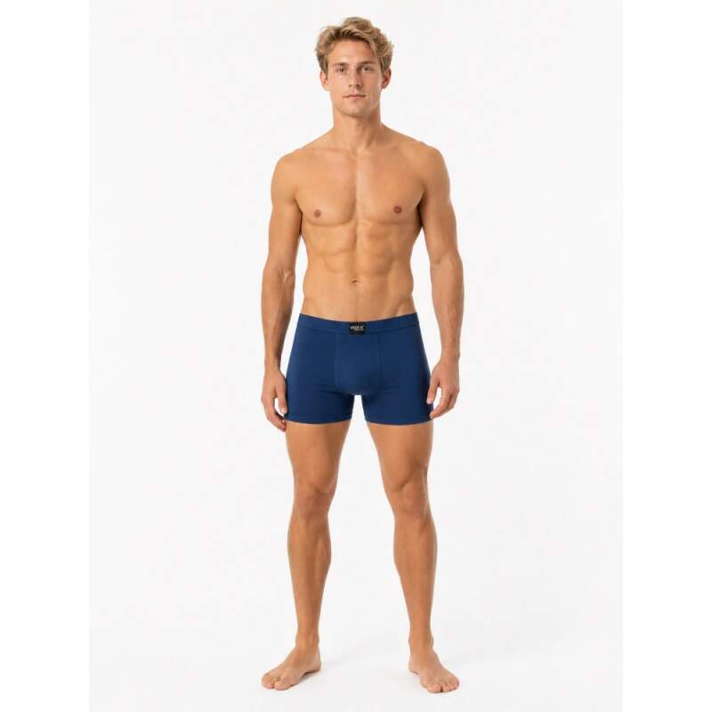 MERINOWOOL 05 pánské funkční merino boxerky VoXX